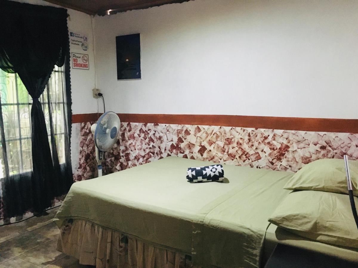 Apartamento Typical House Bluefields Exterior foto